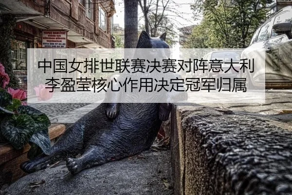 zhong-guo-nv-pai-shi-lian-sai-jue-sai-dui-zhen-yi-da-li-li-ying-ying-he-xin-zuo-yong-jue-ding-guan-jun-gui-shu-3-261.jpg